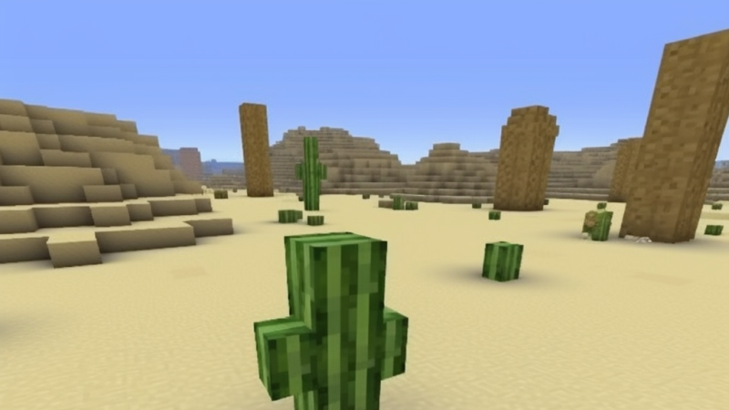 Minecraft desert biome