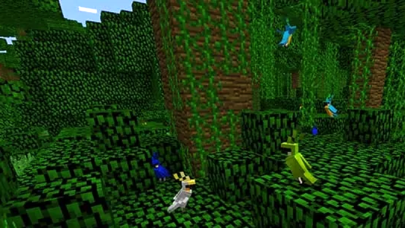 Minecraft jungle biome